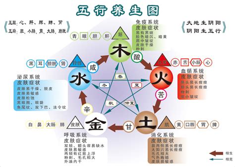 五行木代表|五行「木」的特征、取象